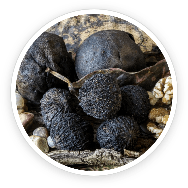 Black walnuts